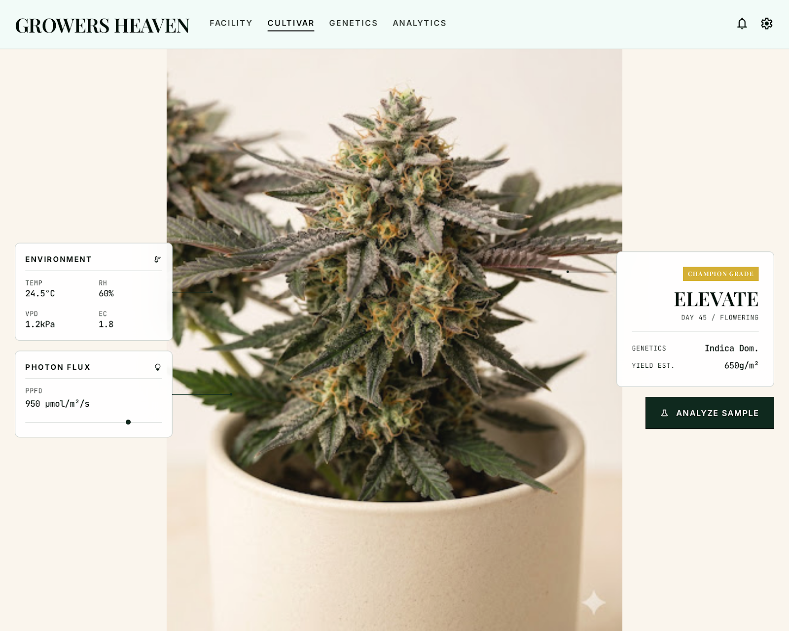 Growers Heaven visual